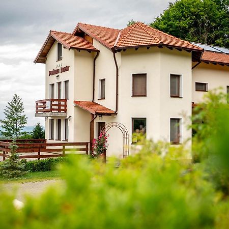 Pensiunea Rozelor Statiunea Climaterica Sambata Sîmbăta de Sus Zewnętrze zdjęcie