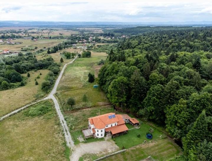Pensiunea Rozelor Statiunea Climaterica Sambata Sîmbăta de Sus Zewnętrze zdjęcie
