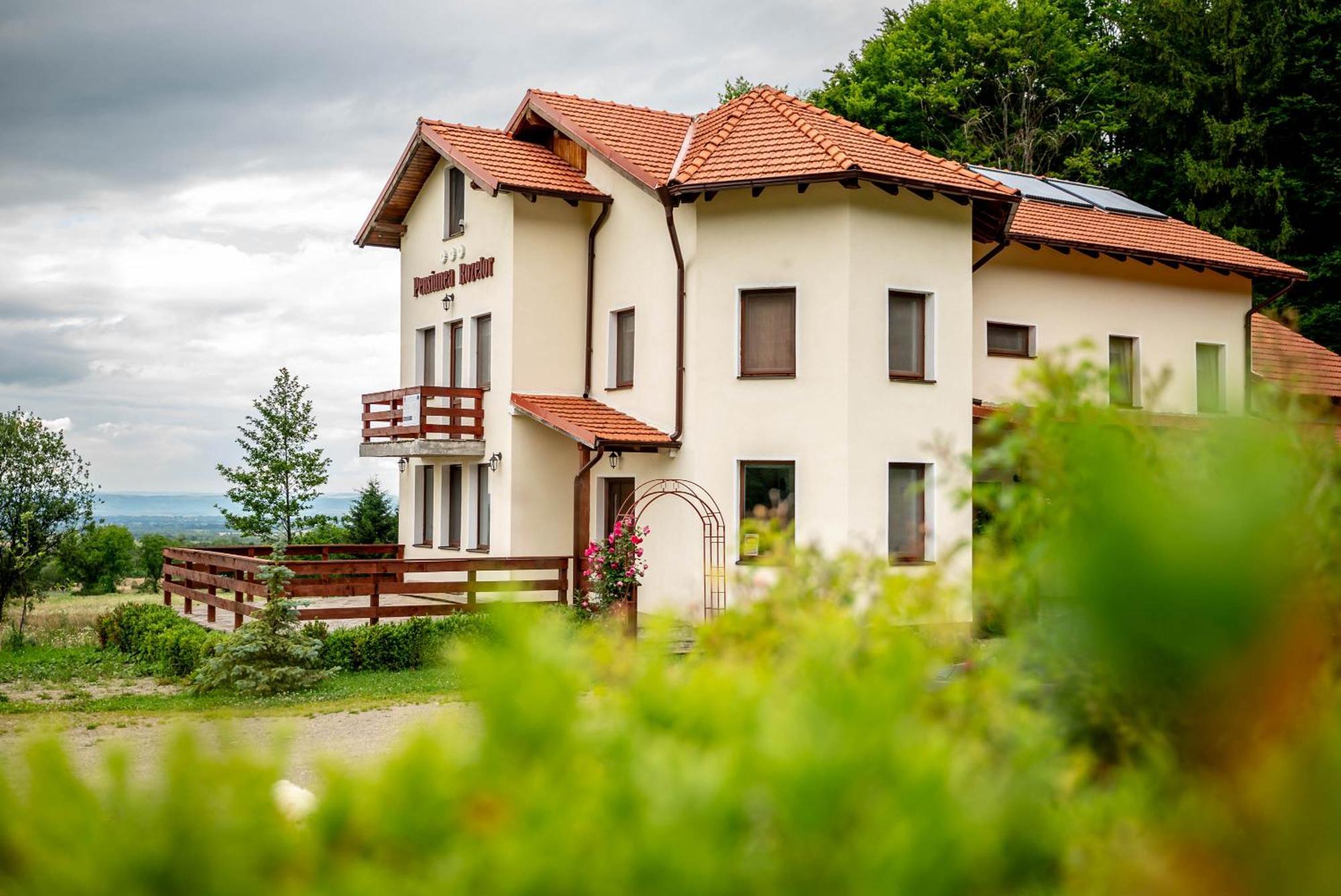 Pensiunea Rozelor Statiunea Climaterica Sambata Sîmbăta de Sus Zewnętrze zdjęcie